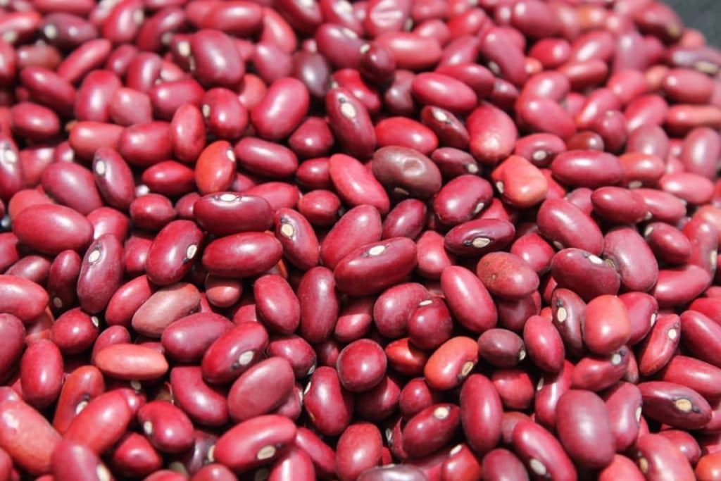 Pulses